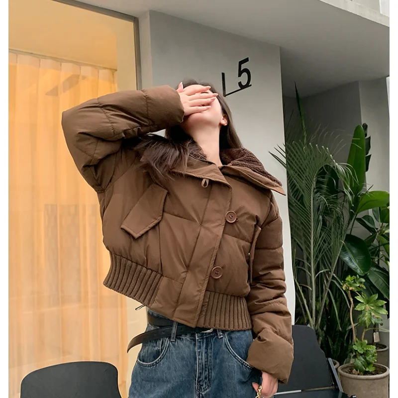 Brown Down Jacket Womens Winter Thickening Warm Solid Korean Fashion Y2K Female 2023 Black Down Cotton Coat Oversized Outwear