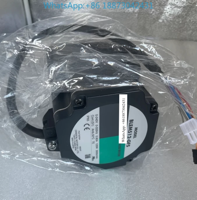 Oriental Motor Blem…