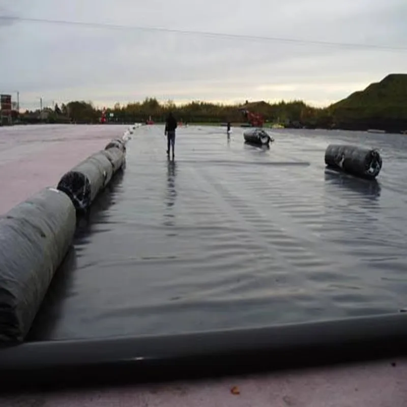 Wholesale HDPE Geomembrane Pond Liner Customized for Fish Farm Dam Canal Landfill Mining and Water Storage Use
