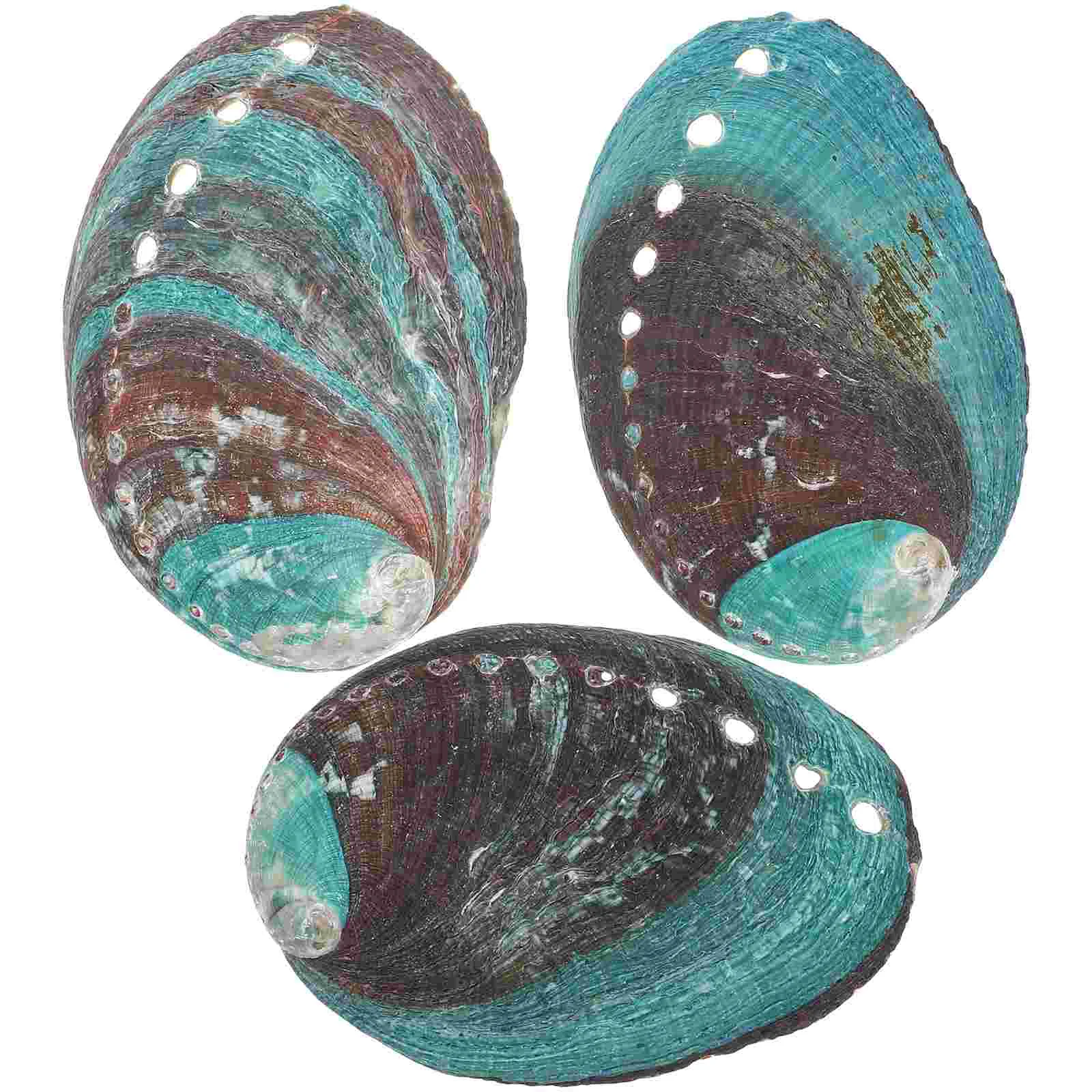 

3 Pcs Natural Shell Abalone Decorative Ornaments Smudging Burn Bowl for Offering Black Tray Decoration Home Dining Table