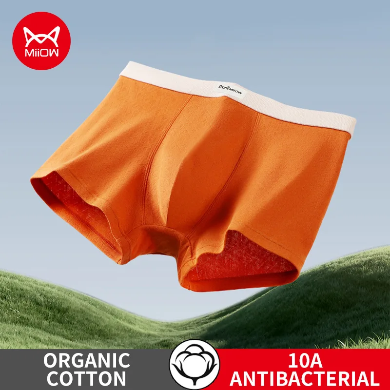 

MiiOW 3Pcs Cotton Men Underwear Boxers 10A Antibacterial Crotch Men's Panties Mens Underpants Breathable Mesh Man Boxer Briefs