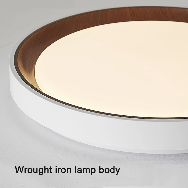 LED Ceiling Lamp Modern Simple Bedroom Study Lighting Balcony Aisle Lustre Light Living Dining room Indoor Home Decor Fixtures