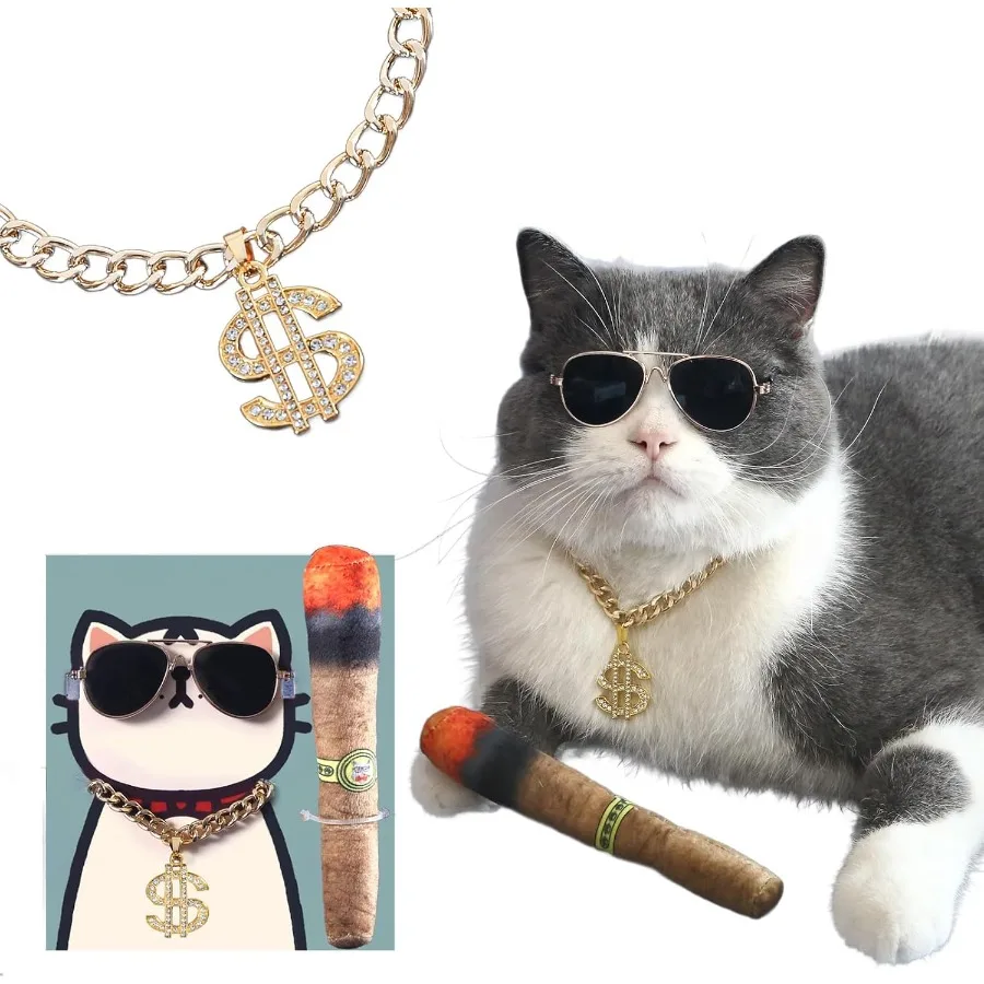 Conjunto de gafas de sol de gato y cadena de oro, collar de eslabones cubanos con dije de signo de dólar, disfraz de cachorro, accesorios para trajes