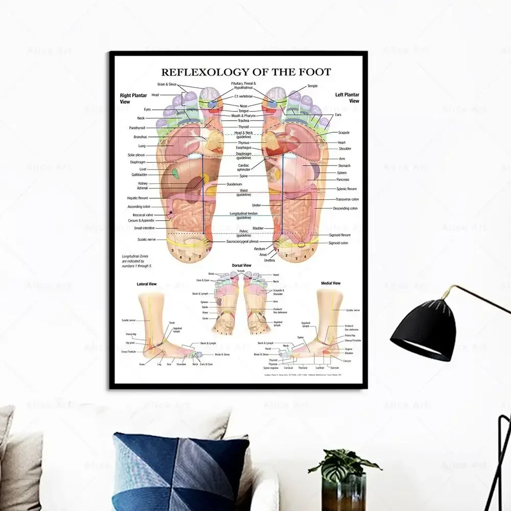 Scandinavian Simple Wall Art Acupuncture Points Diagram Anatomy Foot Reflexology Poster Print Home Bedroom Living Room Decor view 2
