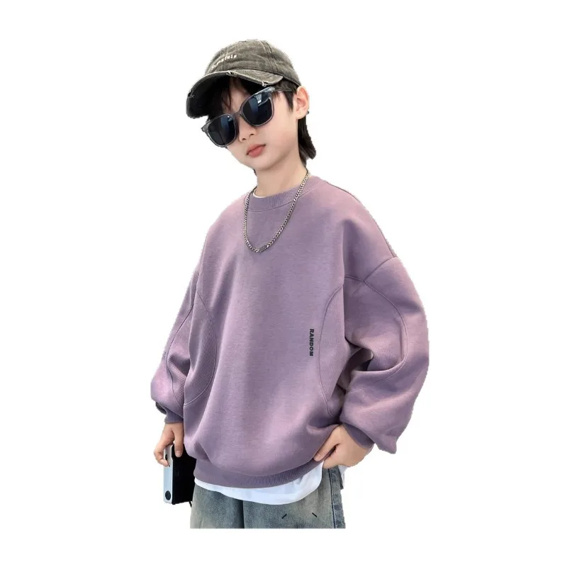 RAISE 2026 Herbst Kinder Jungen Sweatshirts Locker Geschnitten Einfarbig Vielseitig Junior Jungen Pullover Rundhals Langarm Oberteile für Teenager – Detail 5