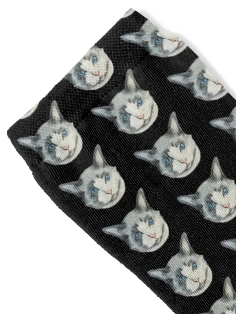 Adorable Ragdoll cat sticker Socks christmas gift floral Non-slip colored Socks Men Women's