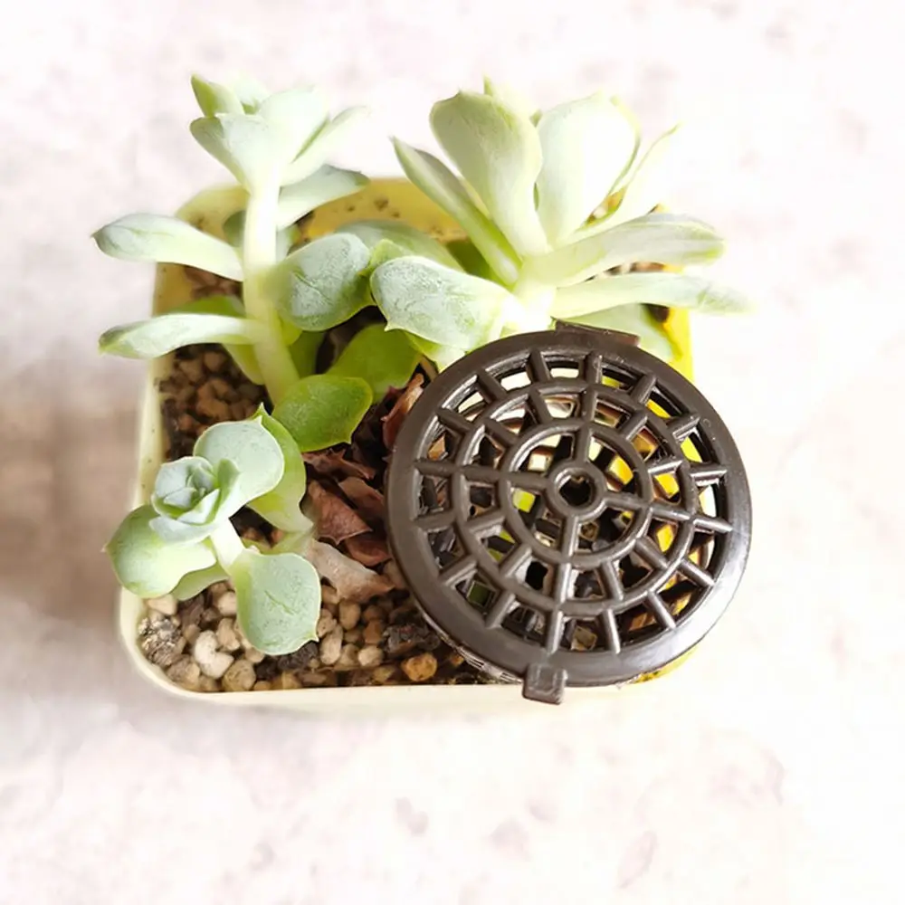 20Pcs Small Bonsai Gardening Tools Nursery Pots Plant Growth Fertilizer Cover Fertilizer Box