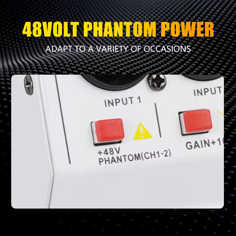 3. 전문가용 오디오..