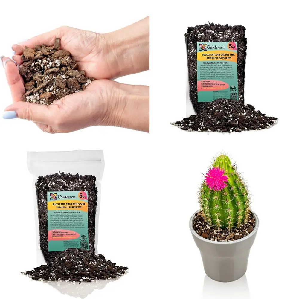 

All-Purpose Succulent & Cactus Soil Mix - 10 Quart, Sphagnum Moss, Perlite, Pine Bark, USA Made