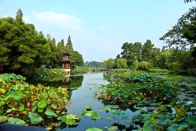 

MN82 MN78 Metal Transmission Gearbox Engine Gear Box with Metal Gear 1/12 RC Car Upgrade Parts Upgrade Accessories