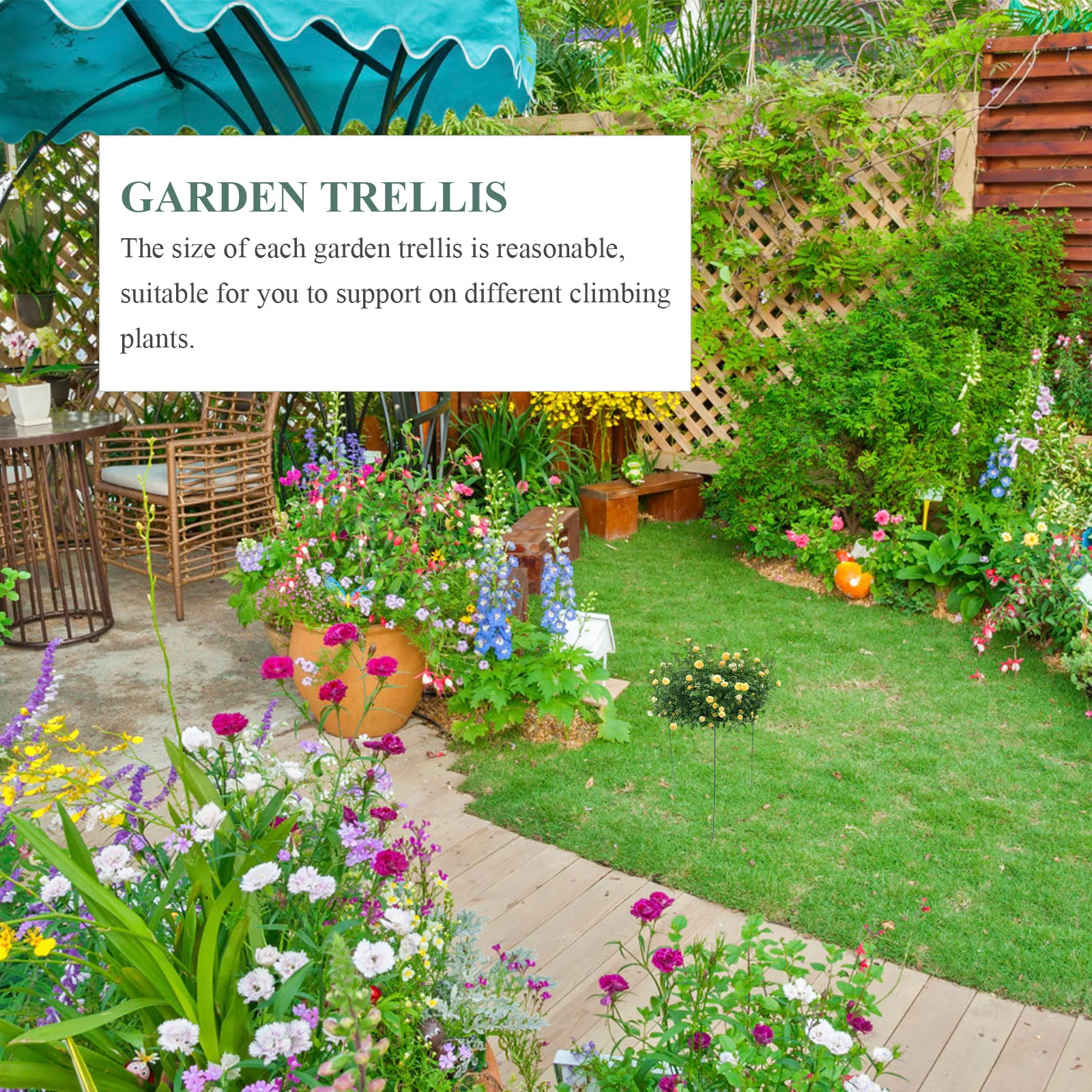 

Climbing Plants Support Trellis Metal Frame Durable Garden Plant Rack Suitable for Vines Flowers Outdoor Indoor