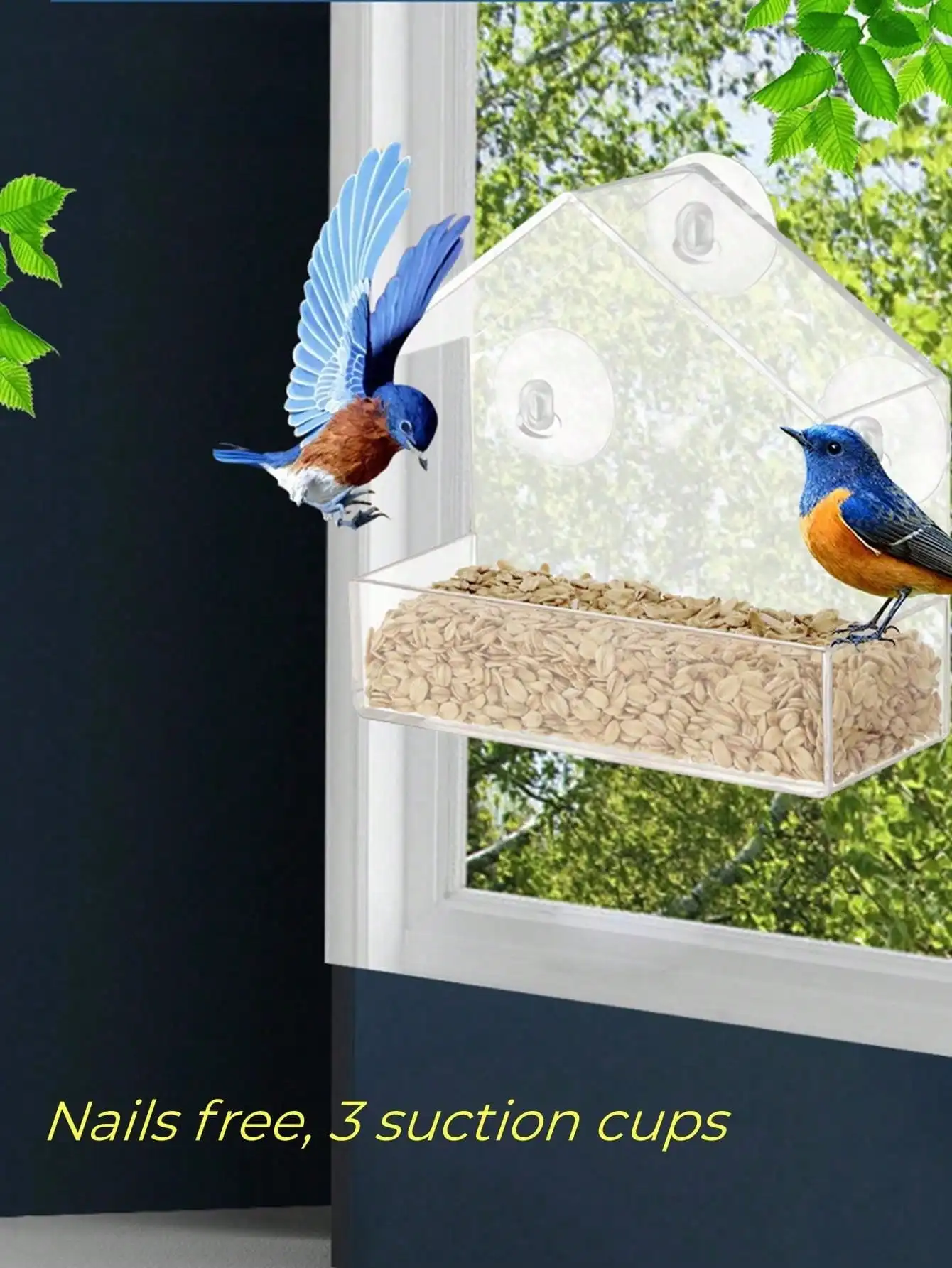 Thumbnail 3 - #46 Compare Birdhouses Before You Buy