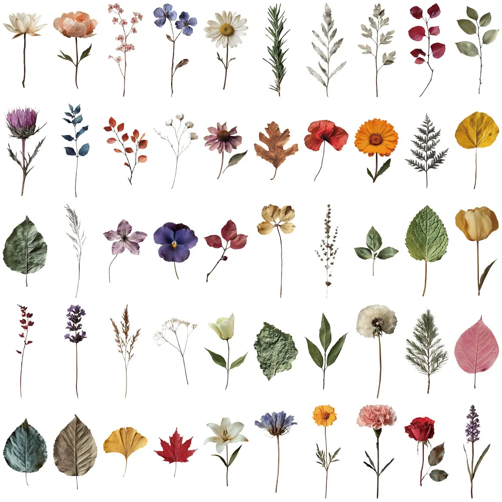 50PCS Creative Plant Specimen PET Transparent Material Stickers Envelope Sealing Stickers Mobile Phone Case Decorative Stickers