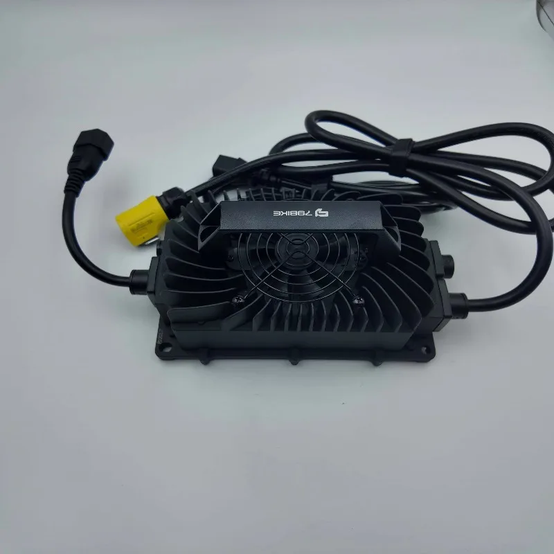 

2025 New Style2025 ELECTRIC BIKE Parts Charger 79 BIKE GT 16.8KW Motorcycle Adapter Accessories Power Supply