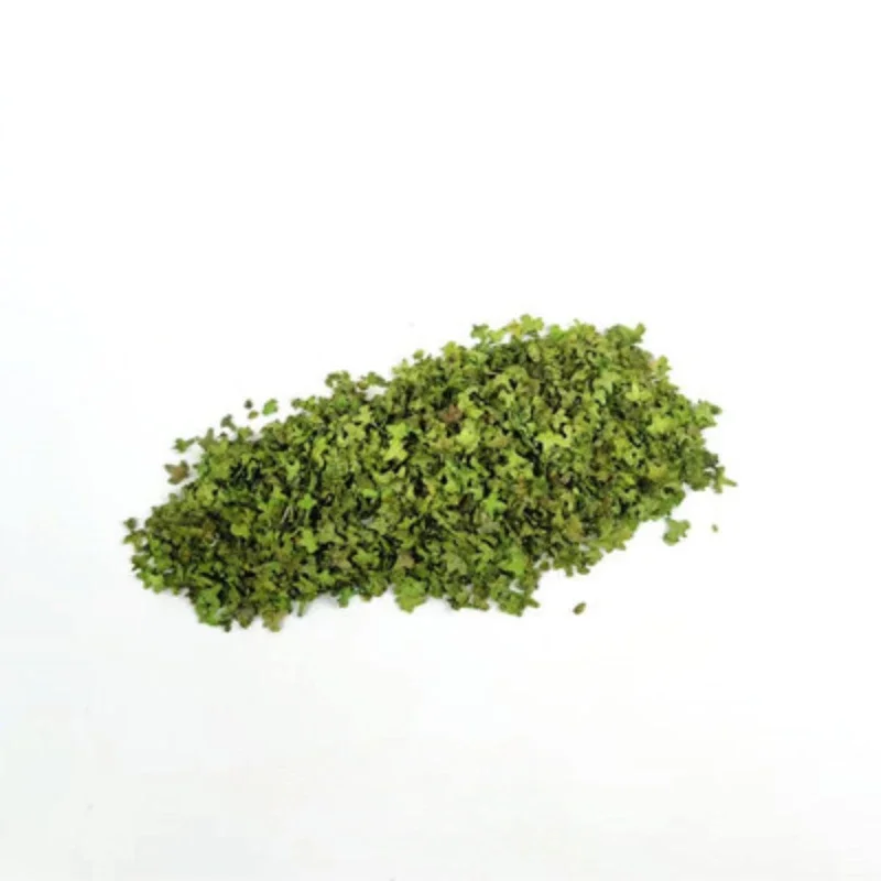 35ml DIY Miniature Leaf Micro Landscape Leaves Static Model for Bonsai Fairy Garden Decor Grass Tufts Accessories