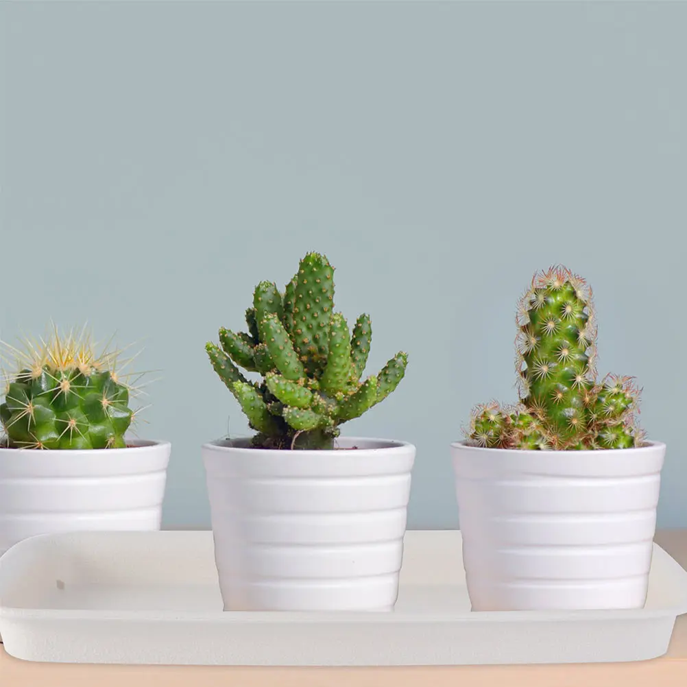 Bandeja retangular para vaso de flores, 4 unidades, material pp, design aprofundado para uso interno e externo, bases para vasos de plantas, jardinagem, panelas de água, jardim