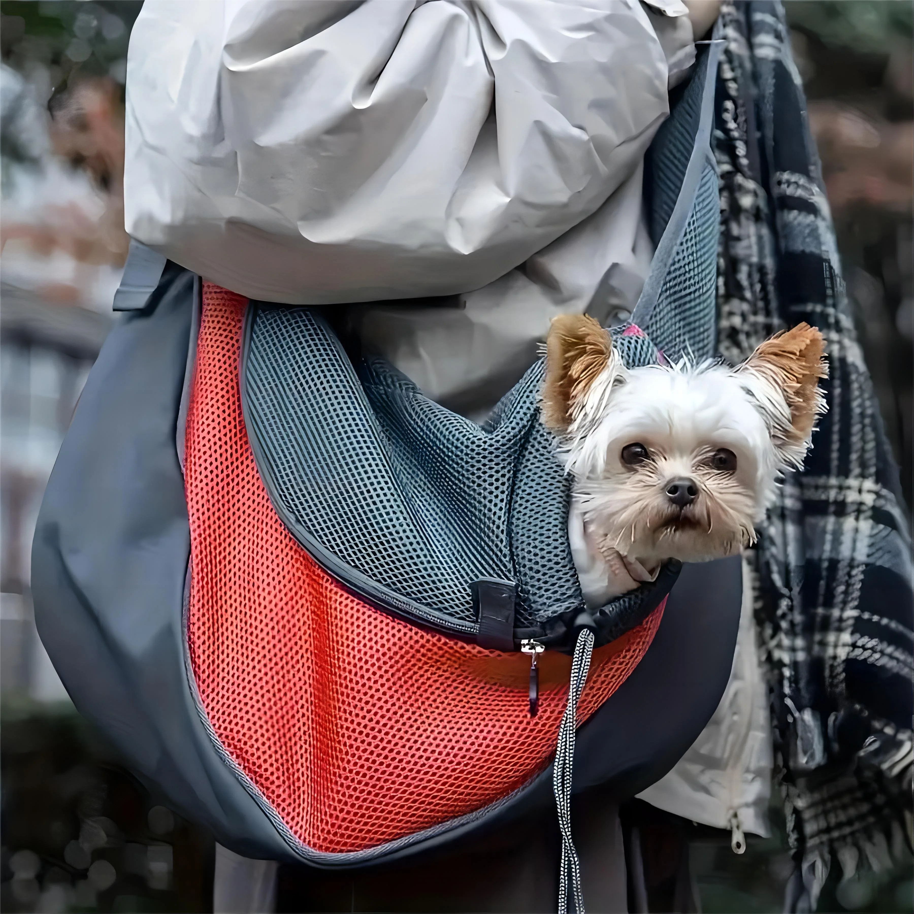 

Dog Travel Bag Bag, Fashion Pet Shoulder Bag Hand Free Puppy Backpack