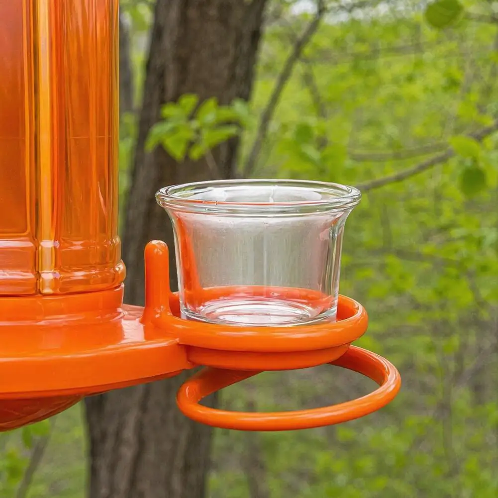 Wildlife Attracting Feeder Cup Glass Bird Feeder Replacement Cups Weatherproof Hanging Bowls for Hummingbirds Finches Outdoor