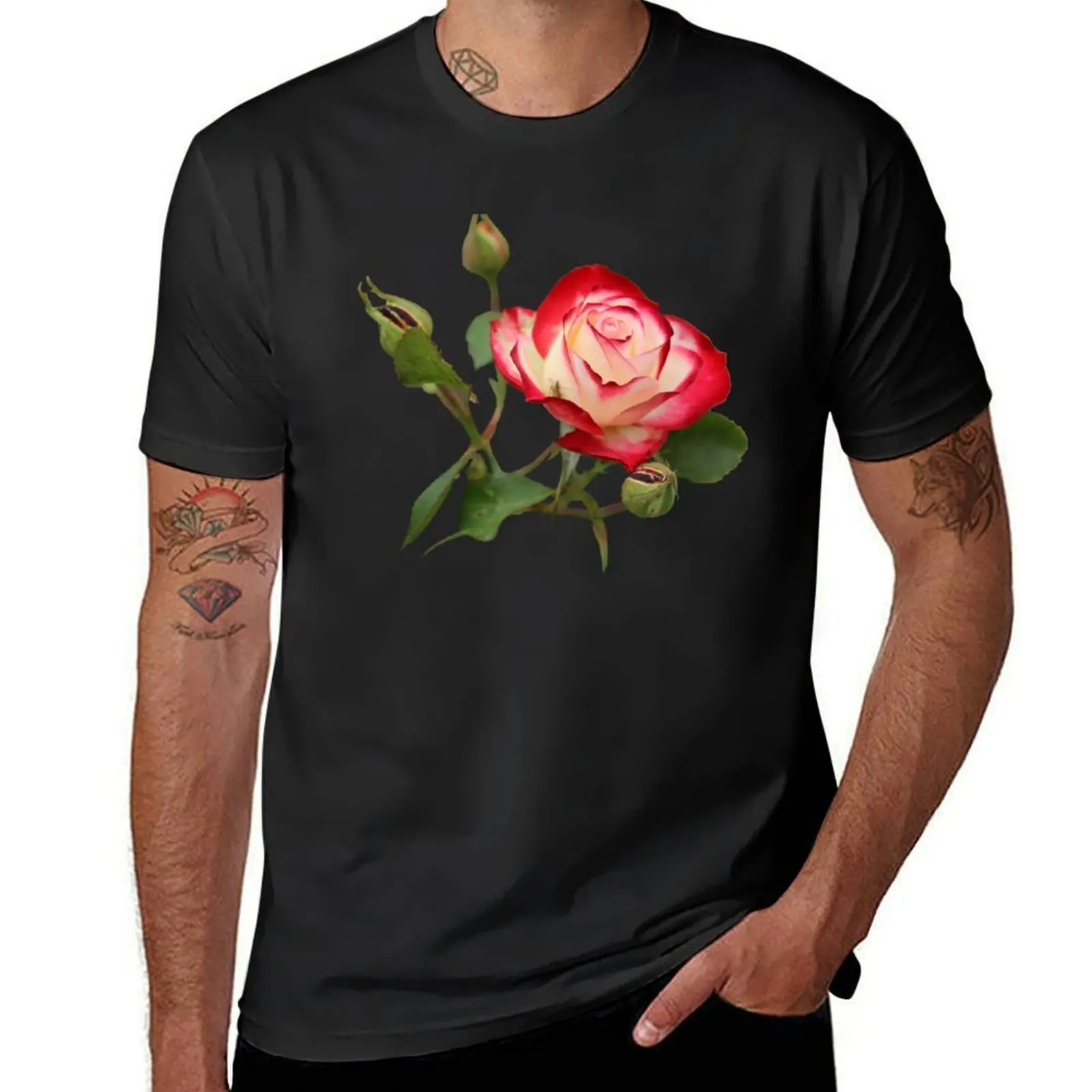 Red and Creme Rose with Buds on Pale Earthy Pink T-Shirt for a boy sports fans Blouse oversizeds t shirts for men pack