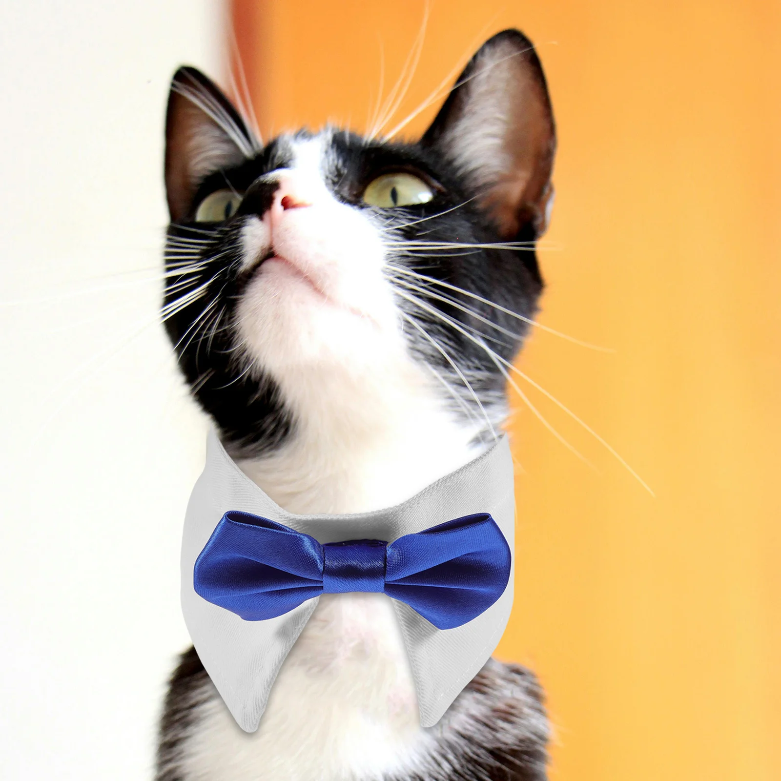 

Adjustable Cat Collar Lightweight Pet Bow Tie Collar Cute Dog Necktie for Birthday Festival Party Cat Gift Pet Accessory