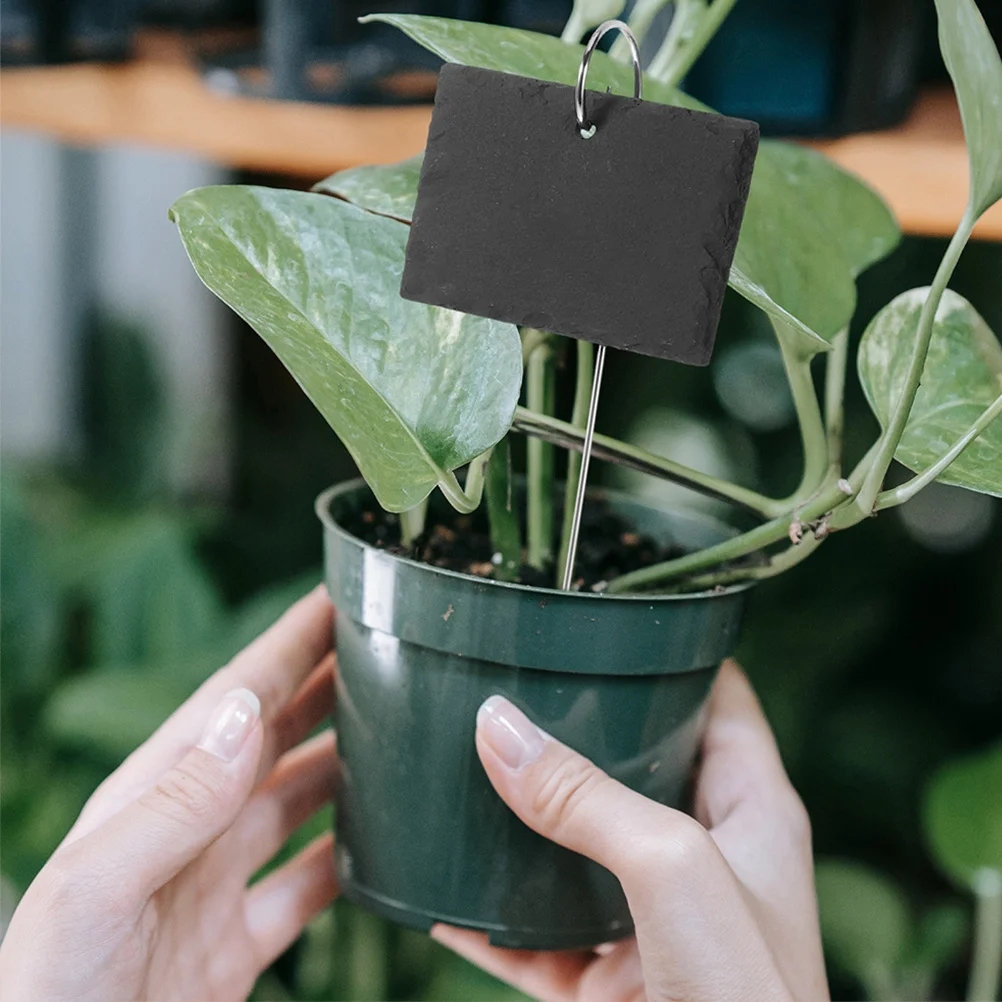 

2Pcs Garden Labels Outdoor Waterproof Easy to Fix on Plants Suitable Various Plants Like Flowers Fruit Trees Management