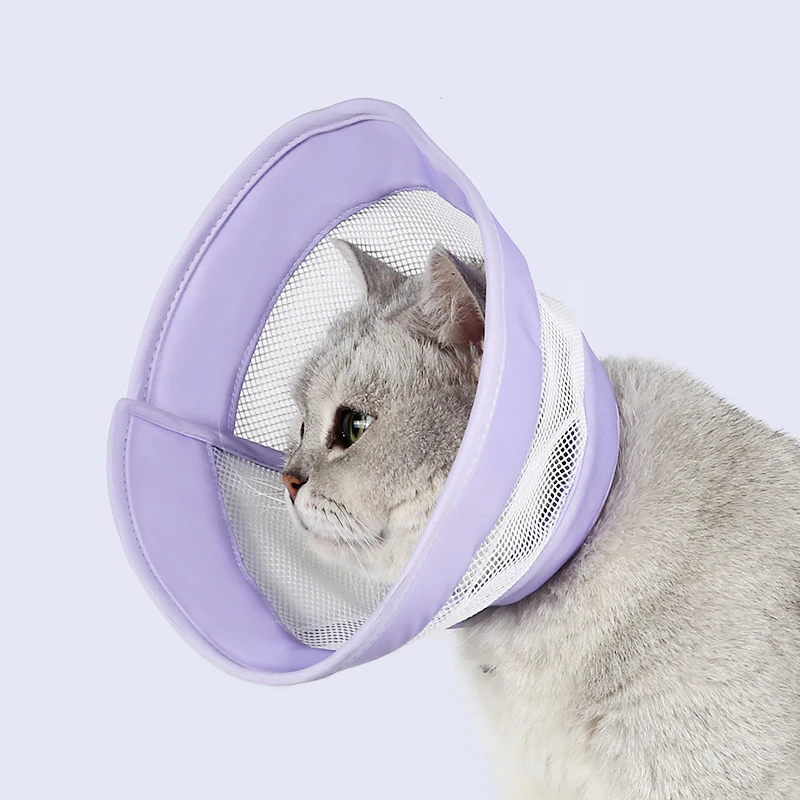 

Pet Elizabeth Circle Anti-Scratch Cartoon Dog Recovery Collar Anti-Bite Adjustable Cat Dog Grooming Cover