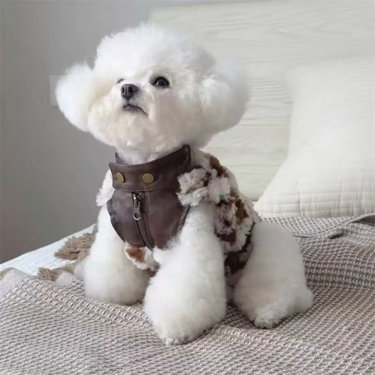 

Pet Dogs Cats Clothes Autumn Winter Coat Thickened Warm Sweater Vest Schnauzer Hair Small and Medium Dog Coat Clothing Supplies