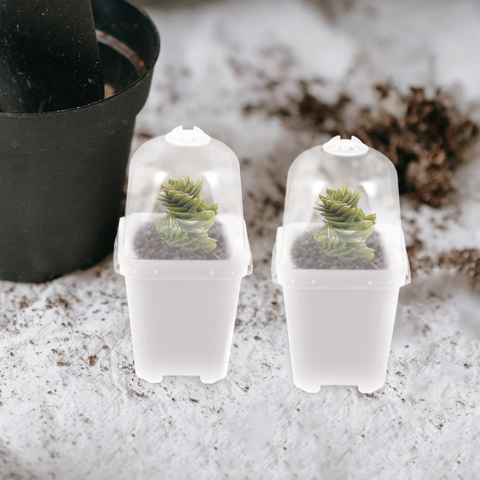 

20 set Flower Pot With Lid Transparent Reusable Plastic Planter Nursery Pot For Outdoor Indoor Garden Succulents Seedlings Plant