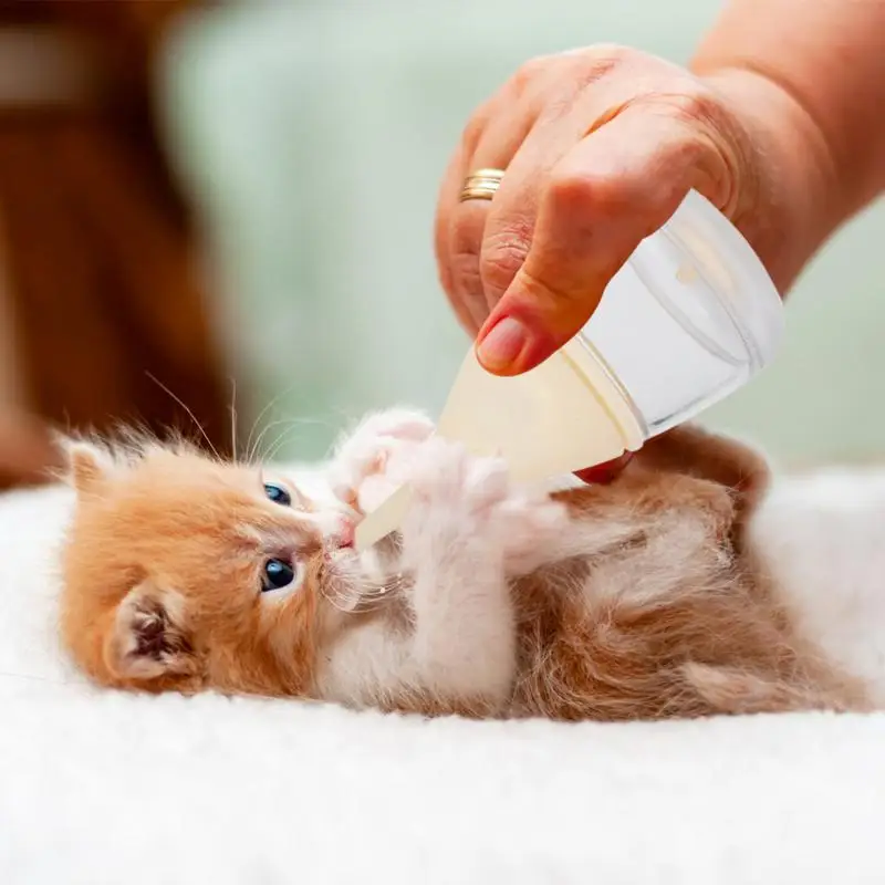 만화 물방울 디자인 강아지 수유 병, 신생아 새끼 고양이 강아지 토끼 작은 동물 질식 방지, 새로운 디자인 2024