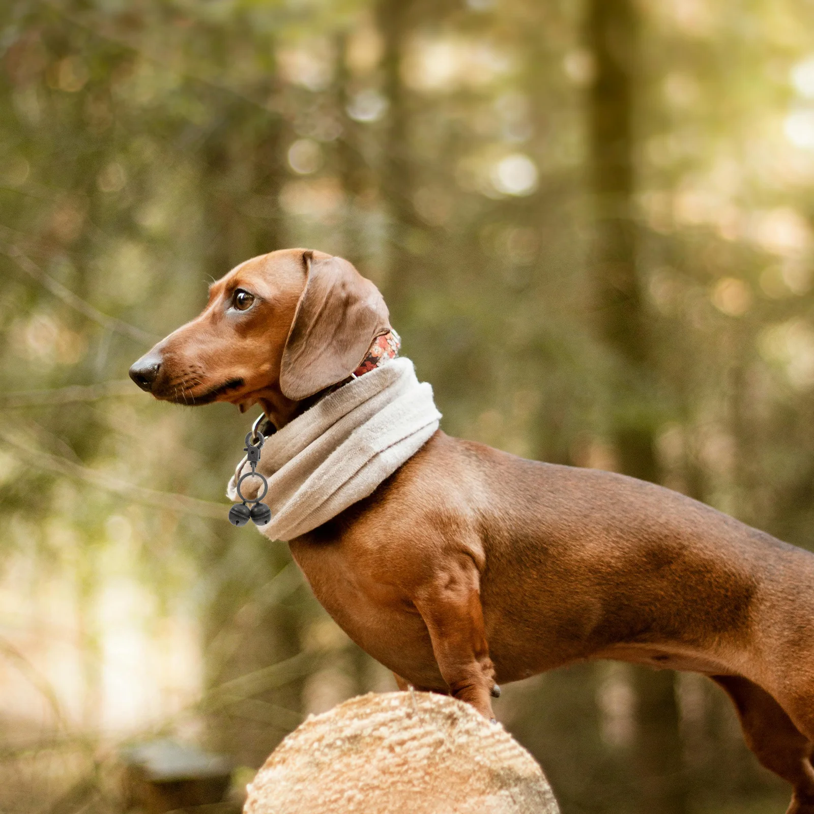 

Brass Bell Charm For Pet Collar Clear Sound Durable Vintage Style Small Dog Cat Decorative Pendant Wind Chime Jingle Ornament