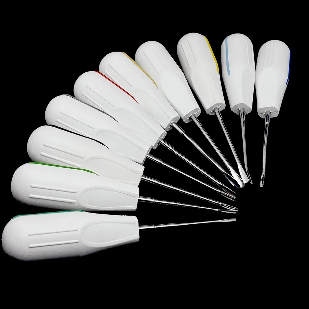 

10pcs Dental Root Elevators Set Tooth Extraction Kit with Plastic Handle for Oral Surgery Dentist Tools