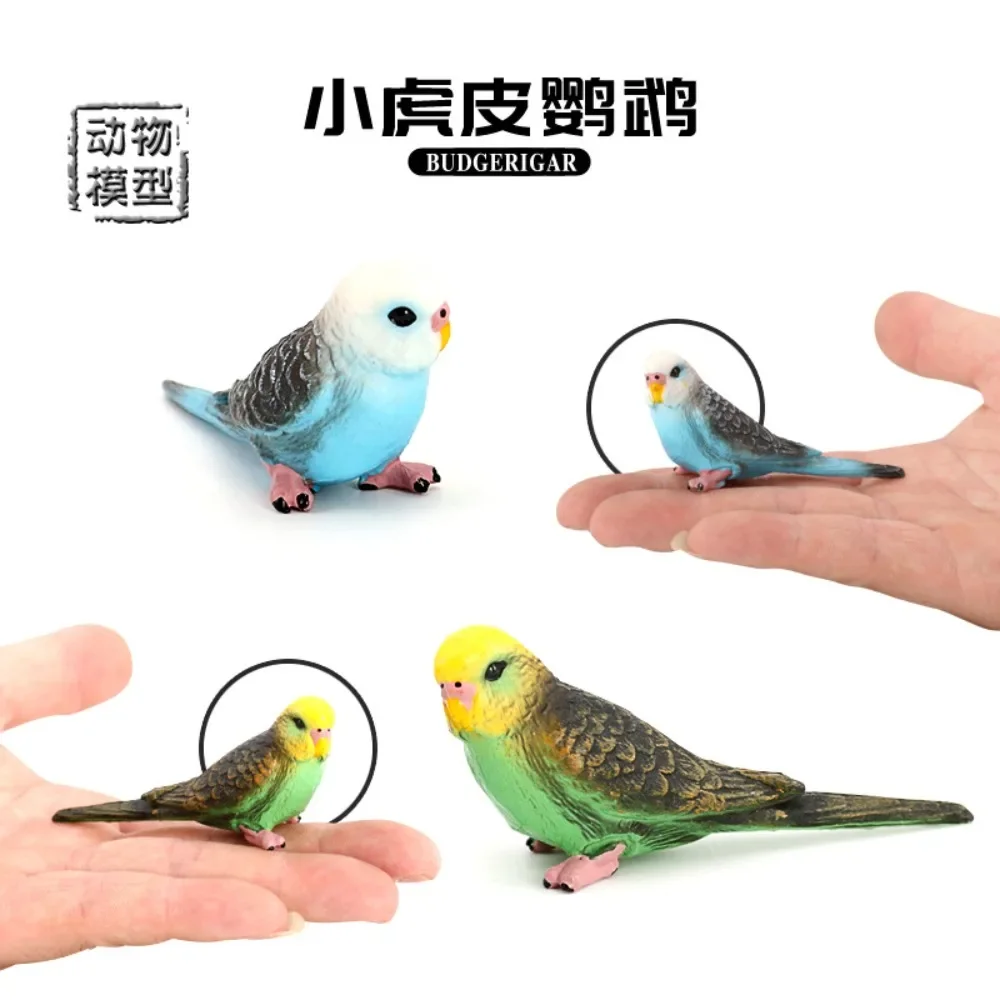 Simulatie Wilde Vogel Dieren Speelgoed Schattig Plastic Tijgerhuid Papegaai Model Actiefiguren Miniatuur Collectie Ornament Voor Kinderen