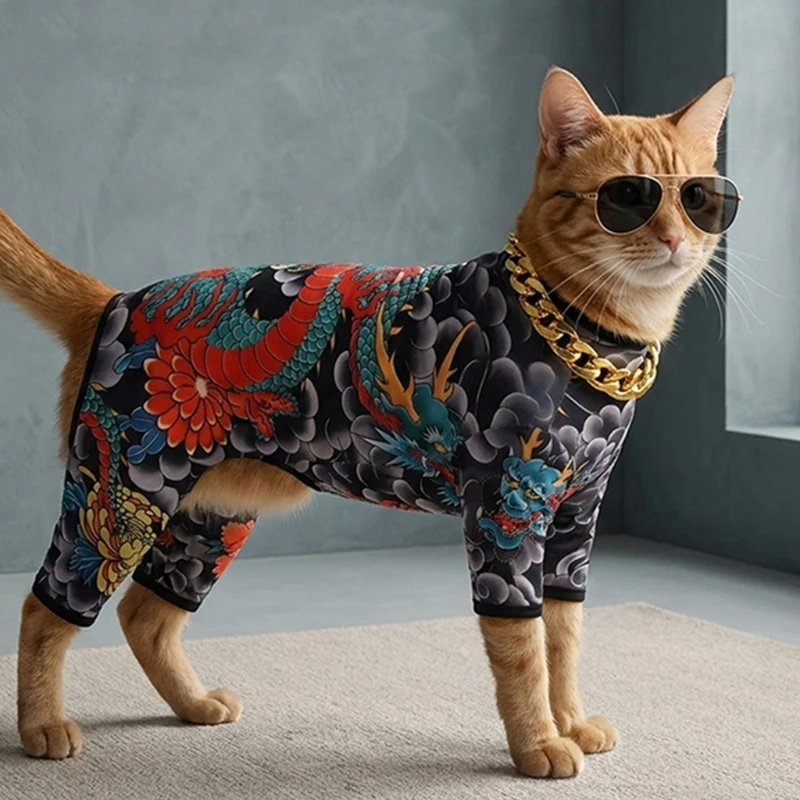 Bedrucktes Hundekostüm-Set für Fotos, Spaziergänge und kurze Video-Styling-Verkleidungen 3XUF – Detail 1