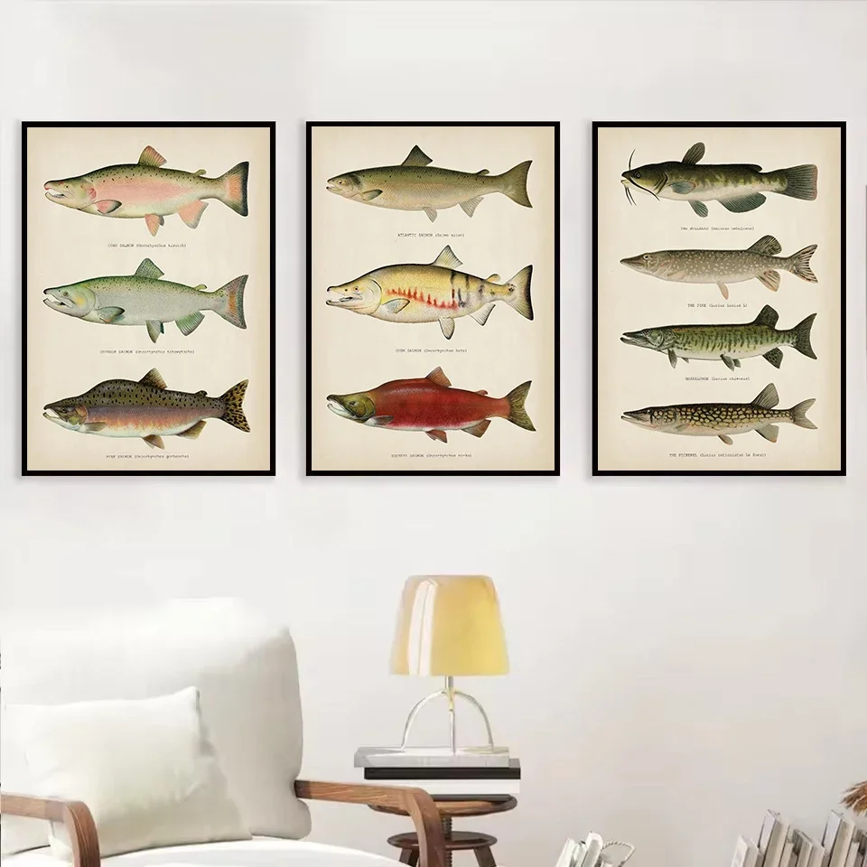 Frameless Canvas PaintingVintage Freshwater Fish Trout,Bass,Salmon,Pike,Catfish,Perch Fishing Llustration Poster Canvas Painting