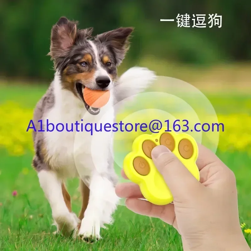 New remote control running ball, intelligent interactive cat and dog toy ball with colorful lights