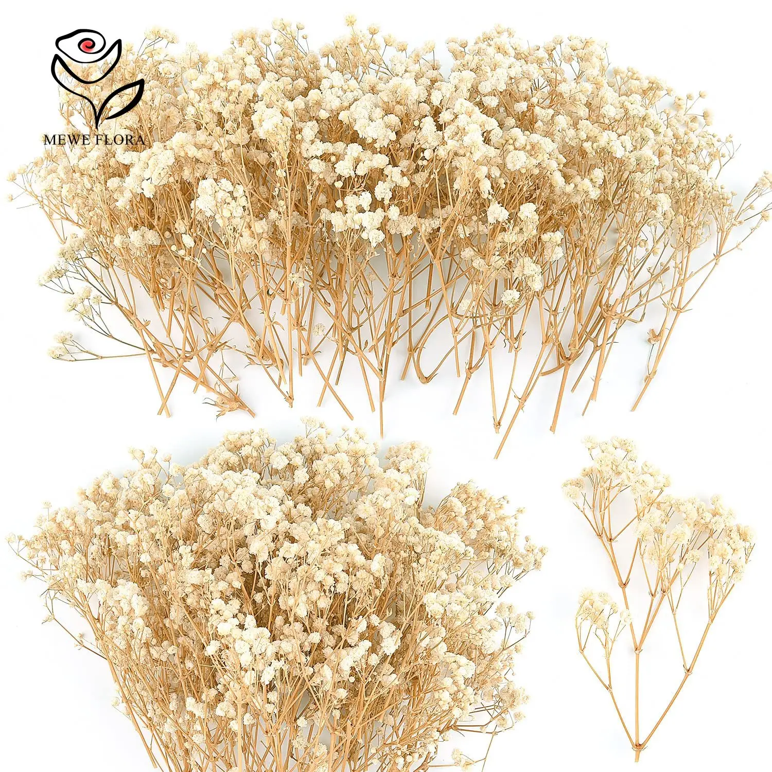 100Pcs Mini Natural… - image