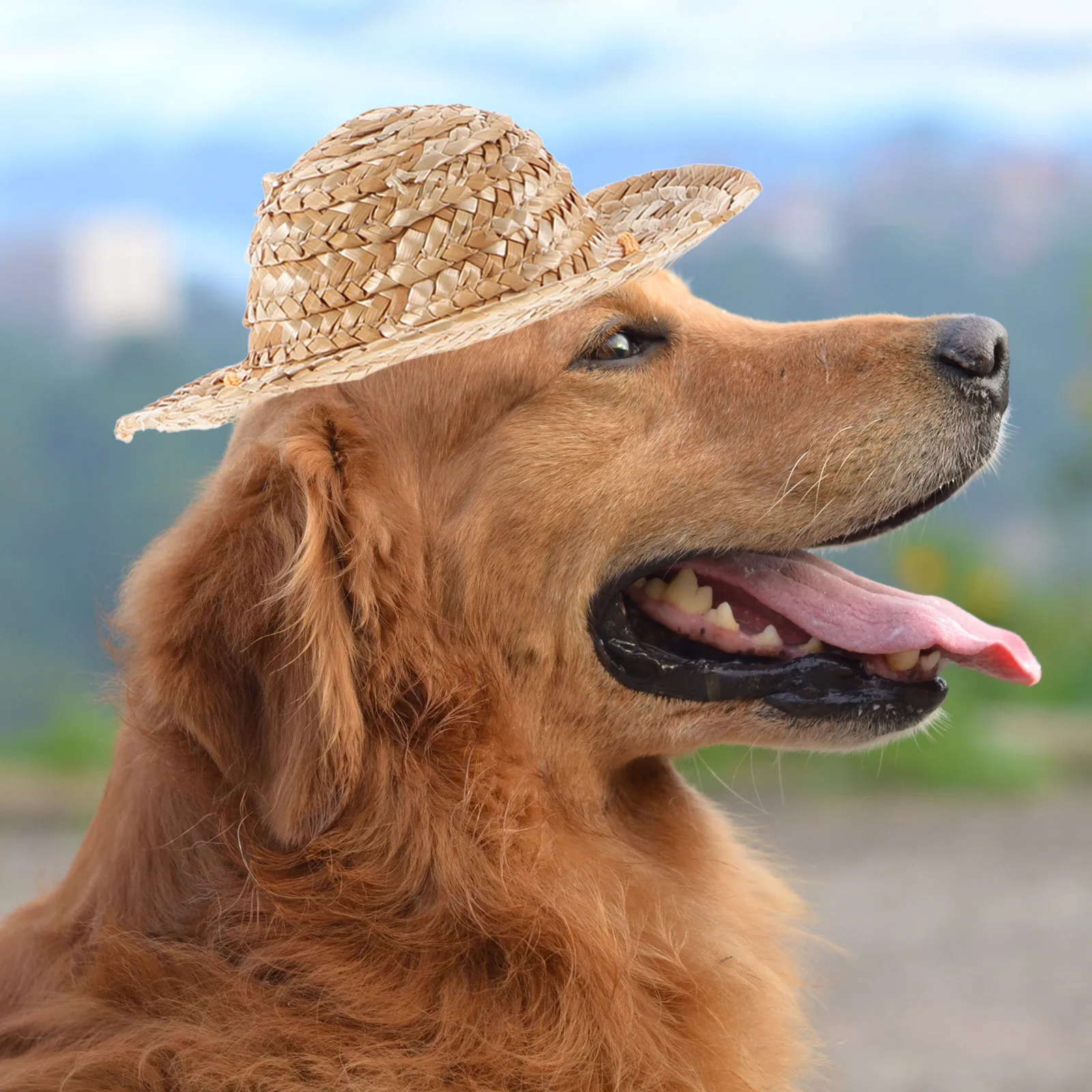 

Pet Sombrero Straw Hat Adjustable Hawaii Garden Sun Bucket for Small Dogs Puppy Cats L Protects Eyes Pet Straw Hat