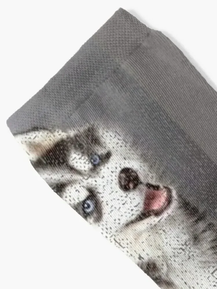 Cute Siberian Husky Dog Vintage Gift Distressed Portrait Socks crazy funny sock with print Women's Socks Men's