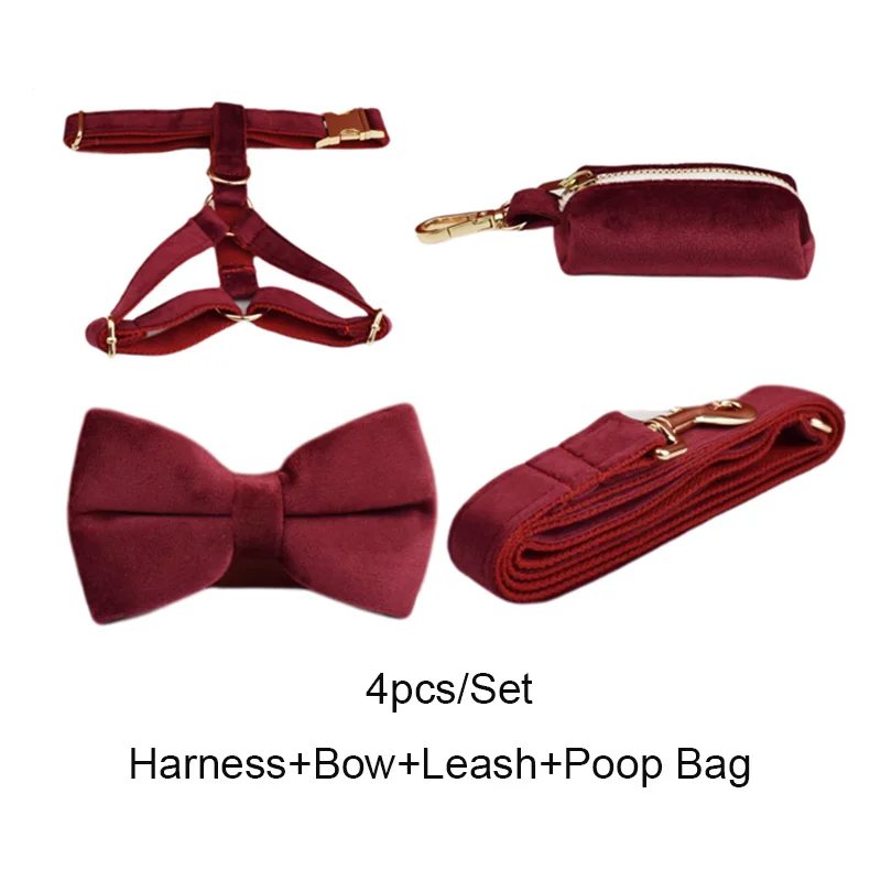 Conjunto de collar y correa de terciopelo para perro con placa_voghion.com