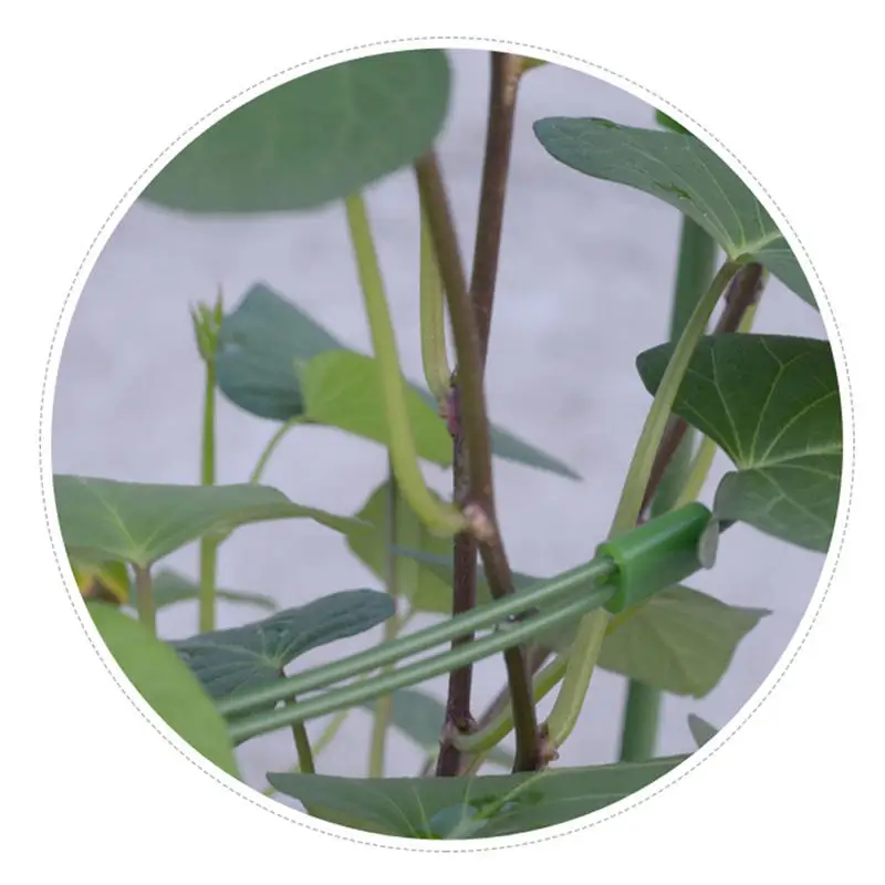 

3 Layers Plant Support Grow Stakes Round Plant Support Ring Plastic Plant Cage Holder Flower Pot Climbing Trellis 1/3/9 Pcs/set