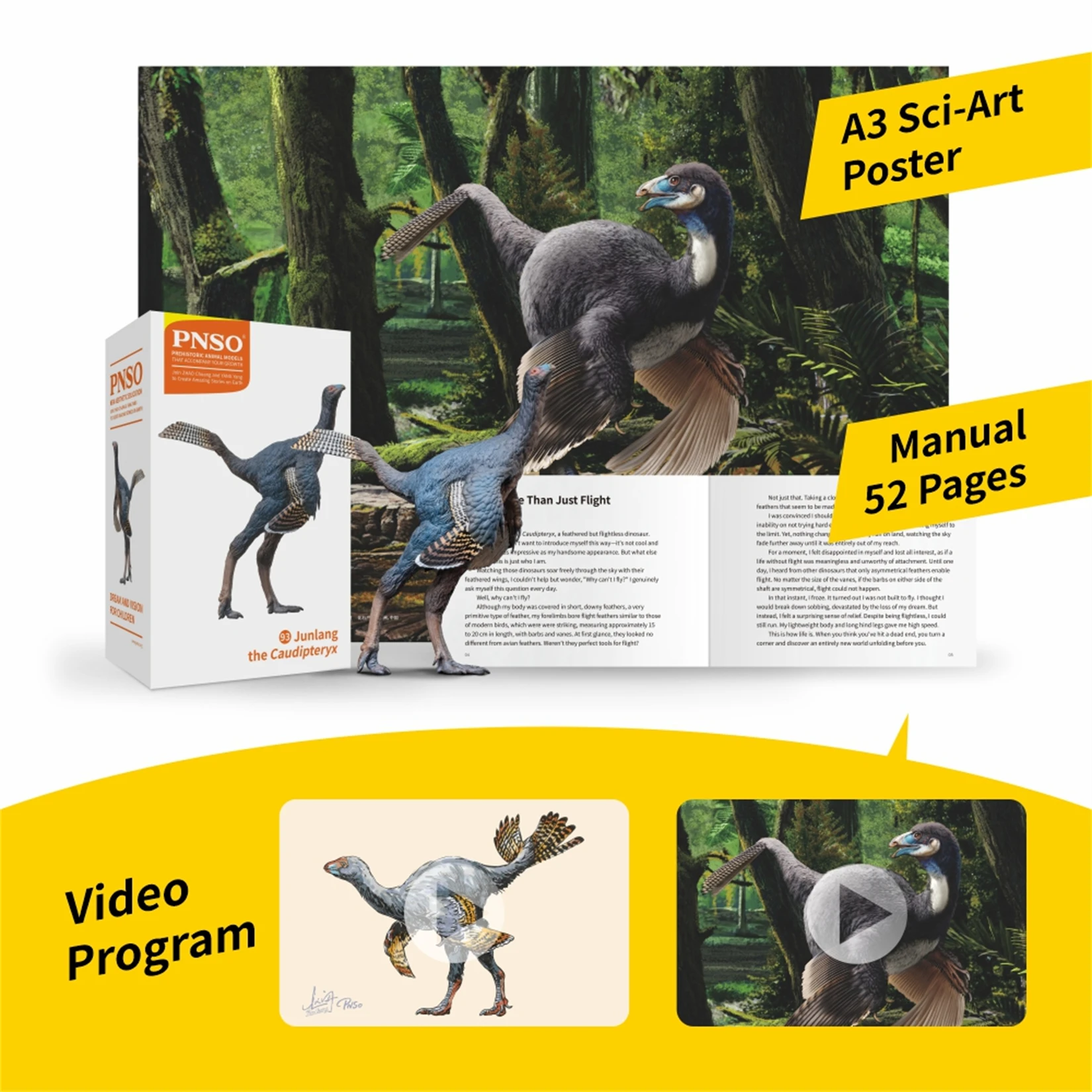 PNSO Caudipteryx 93 Model Dinozaura Prehistorycznego Kolekcjonerski Edukacja Naukowa Figurka Zwierzęcia Zabawki dla Dorosłych Dekoracja Prezent