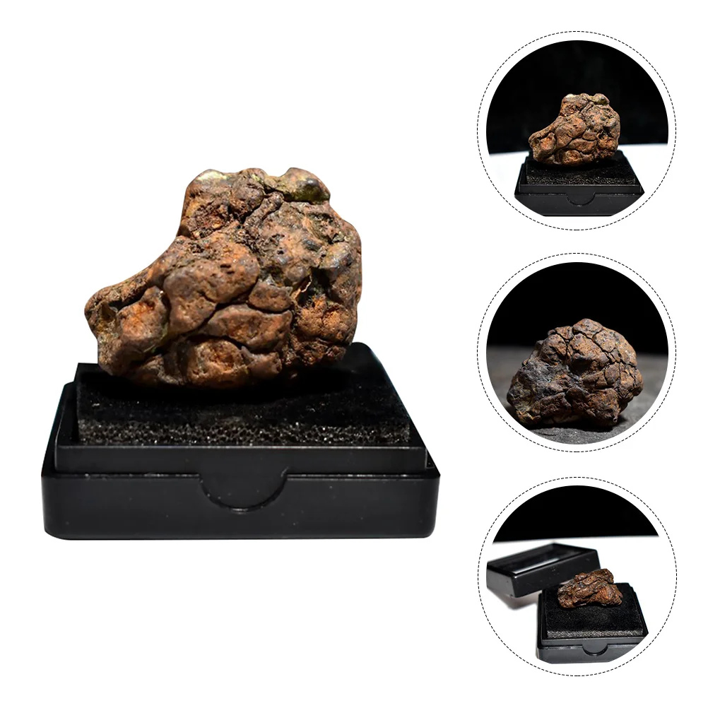 

Lithosiderite Meteorite Specimen Irregular Shape Science Teaching Sample Educational Display Decor Collection Material for Kids