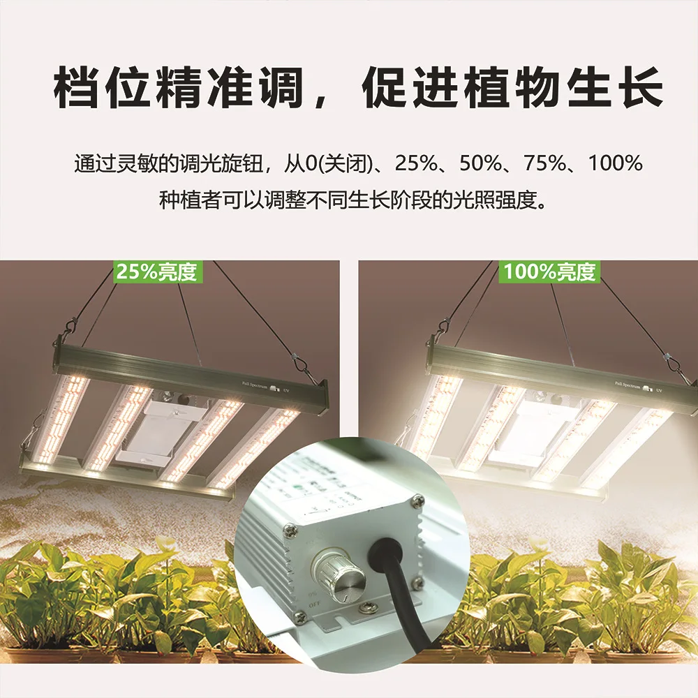 

2025 Новый стиль, полностью светильник, мини-фотонная рамка, 120 Вт, заполняющий светильник для растений, многофункциональный светильник для посева, комнатный светильник для посадки теплицы