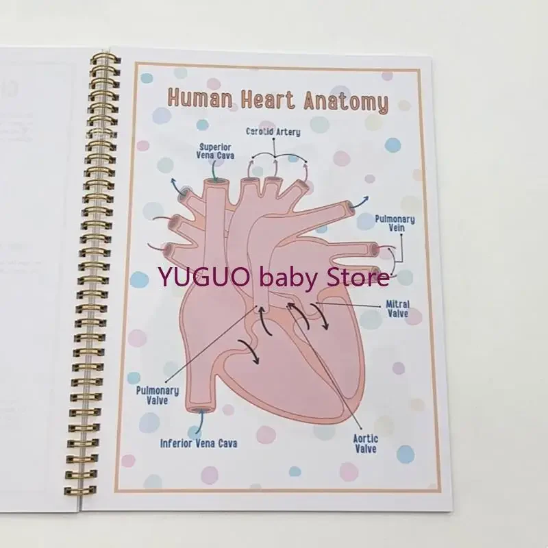 ملحق كتاب تفاعلي للتشريح البشري للأطفال يتعلمون عن أجزاء الجسم ومتعدد الوظائف للأعمار من 6 إلى 8 15UB
