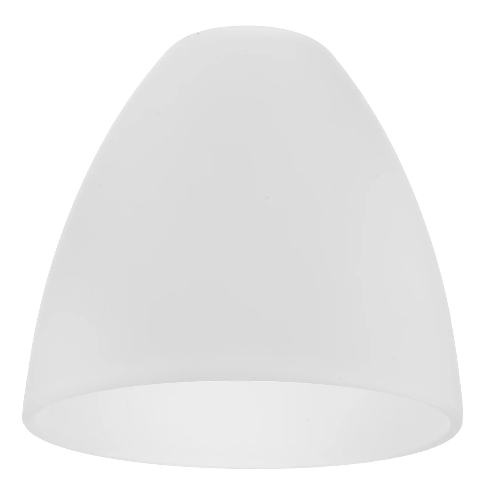 

Replacement Glass Lamp Shade for Hanging Ceiling Lamp Chandelier Light Fixture Warm Diffused Lighting Effect Decoration