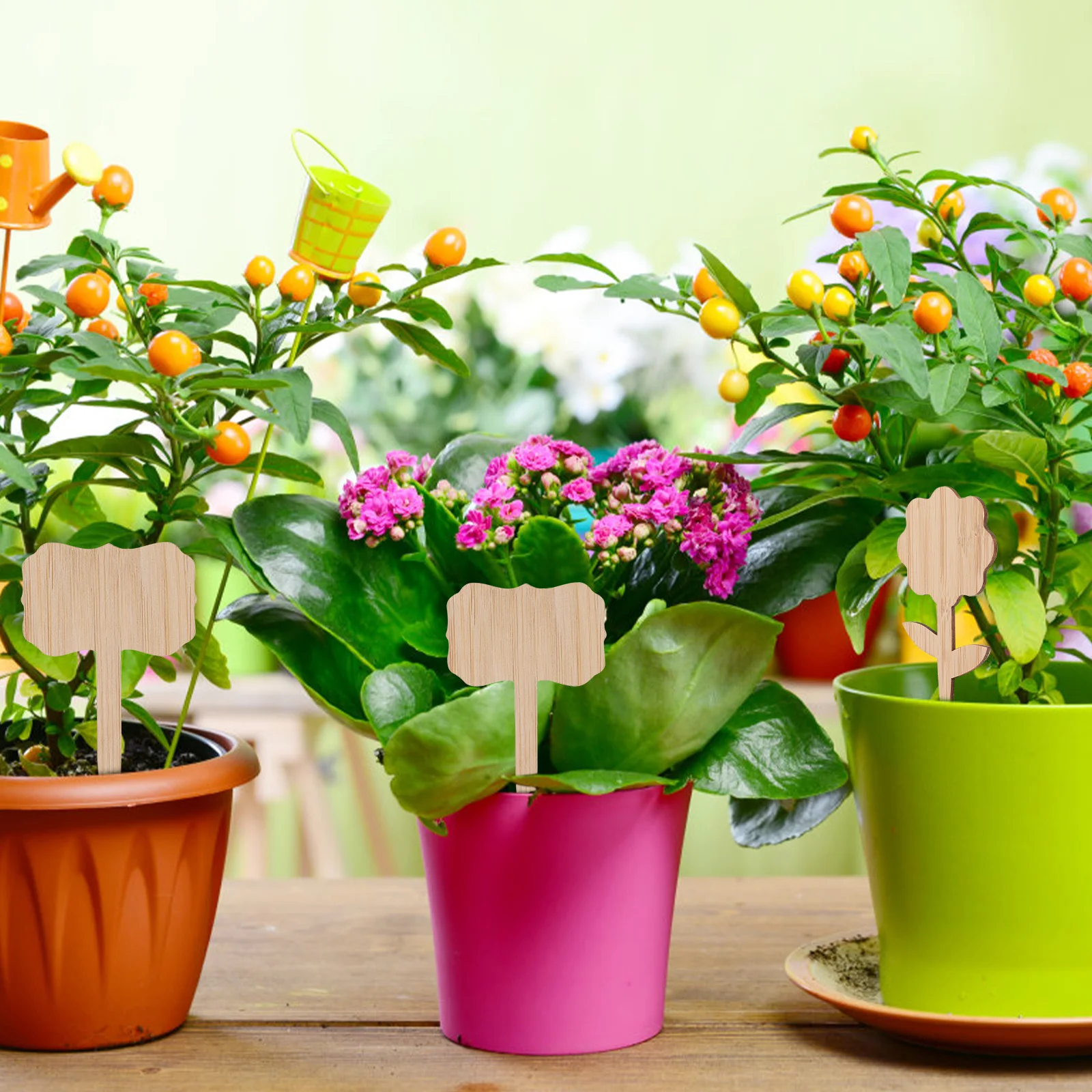 

40 Pcs Bamboo Plant Labels Sturdy Garden Home Art Decorative Smooth Safe Creative Flower for Gardening