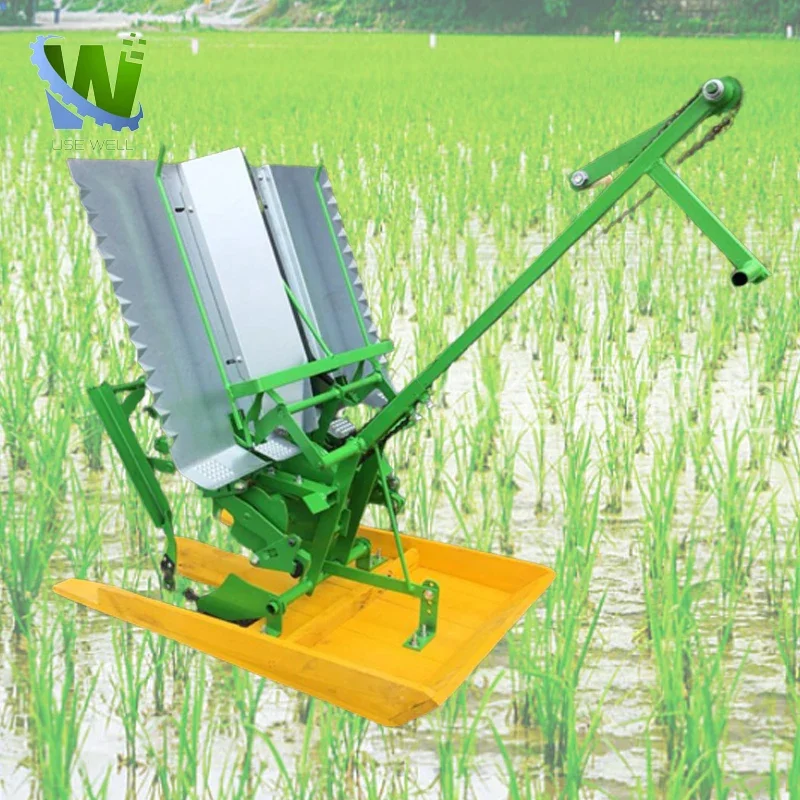 Agriculture Professional 2 Rows Hand Cranked Manual Rice Paddy Transplanter Planting Seeding Planter Machine For Farm