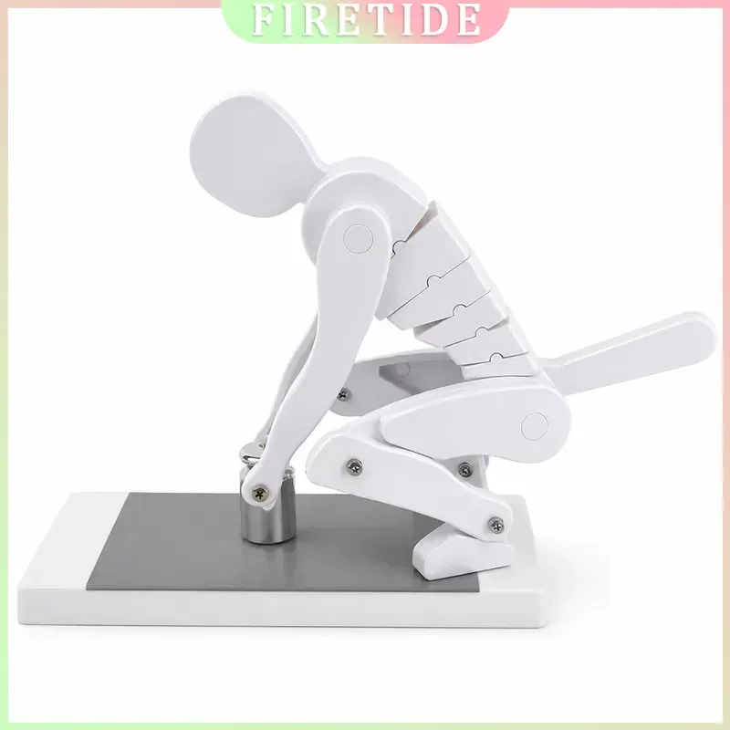 PVC Human Body Anatomy Model with Stand for Medical Teaching Learning Skeleton Figure Non-fading