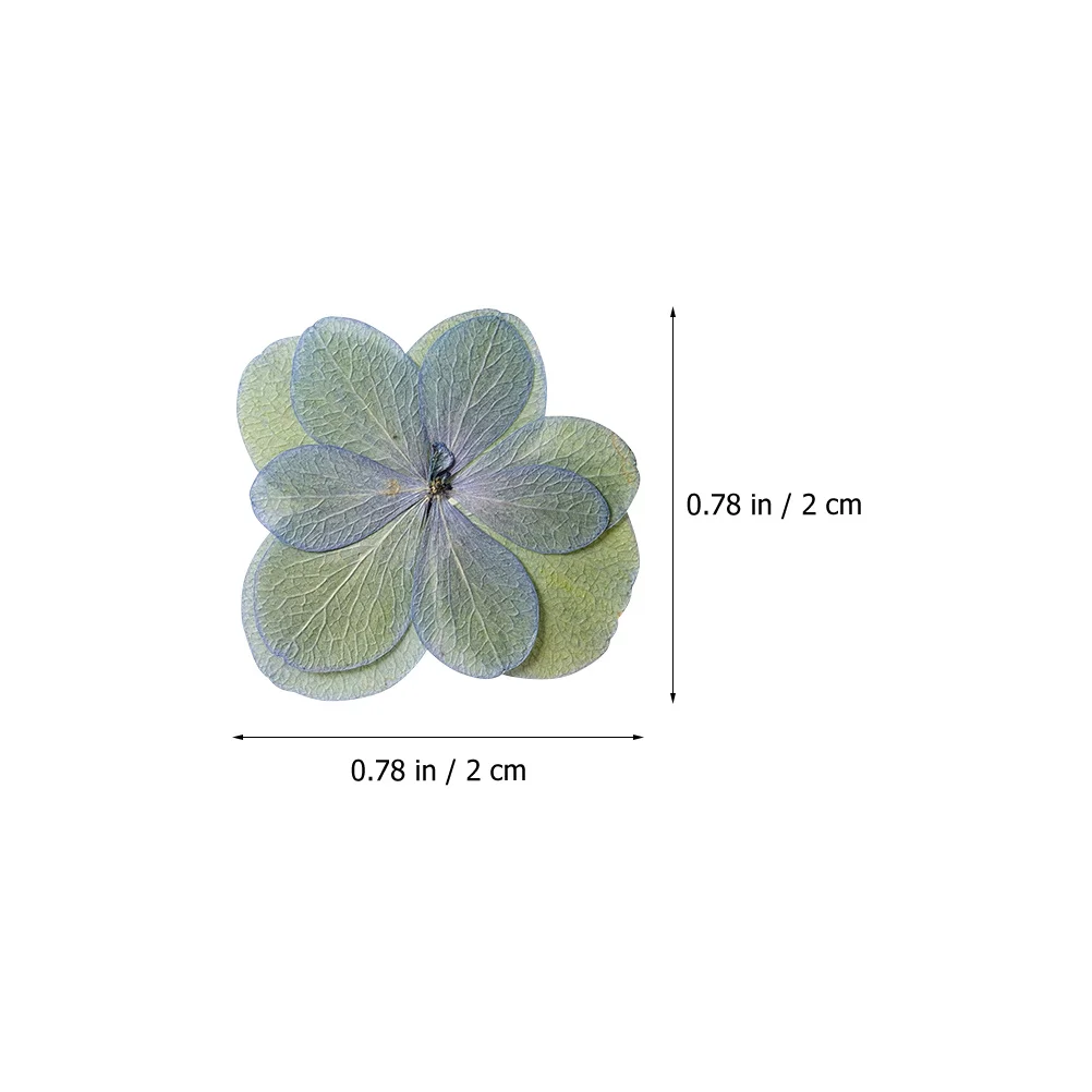 30 peças flores secas prensadas em relevo real para artesanato de resina diy fazendo scrapbooking material floral natural multicolorido