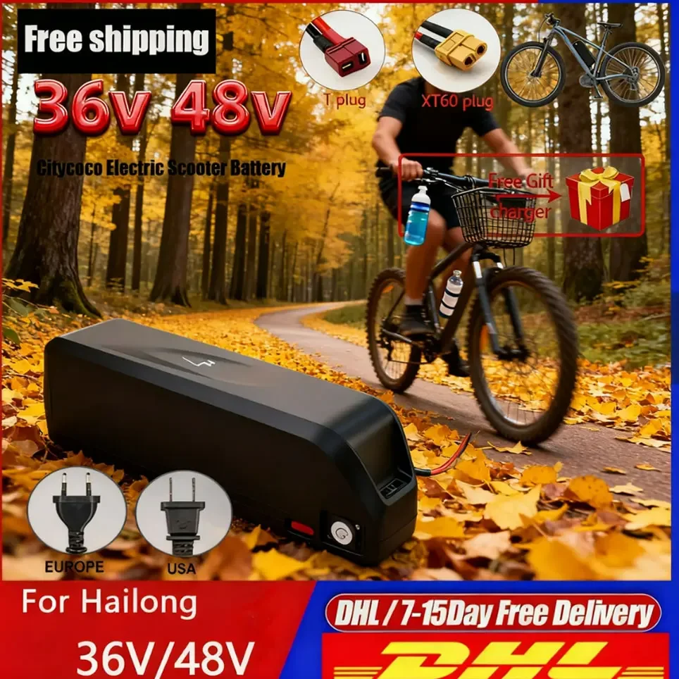 Hailong Akku 36V 48V 20Ah 30Ah 40Ah für Bafang BBS02 BBS03 BBSHD Motor Hailong 36V Akku Hailong 48V Power-Akku